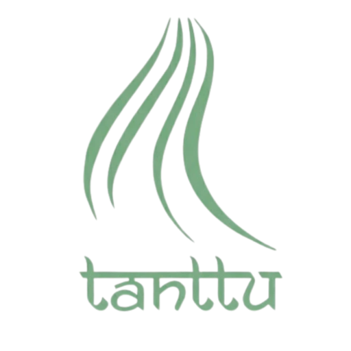 Tanttu